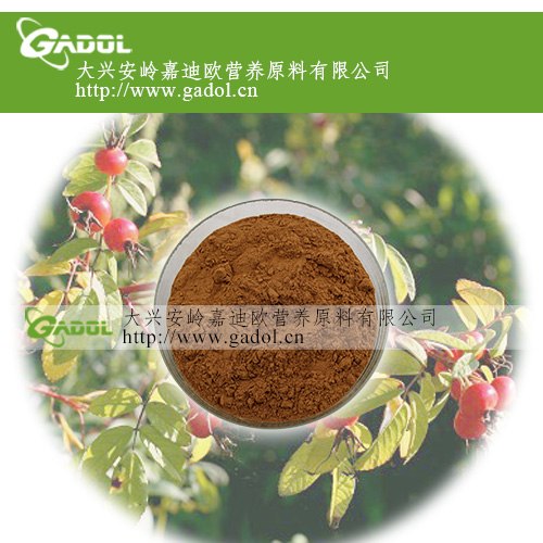 供应刺玫果提取物