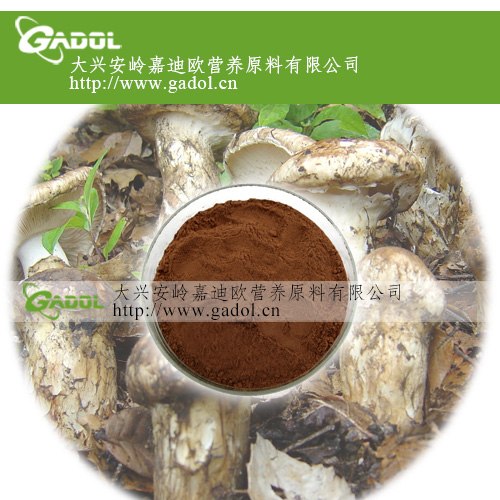 供应松口蘑提取物