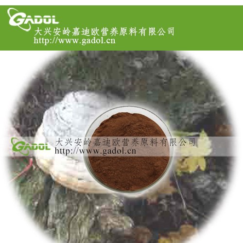 供应木蹄层孔菌提取物