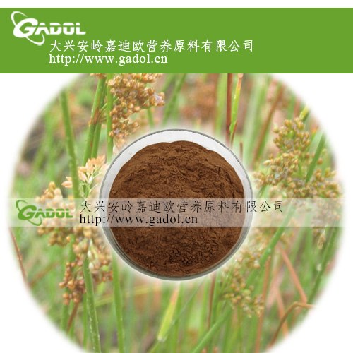 供应灯心草提取物