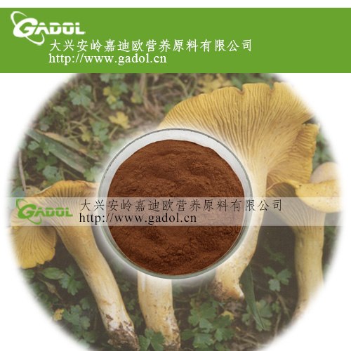 供应鸡油菌提取物