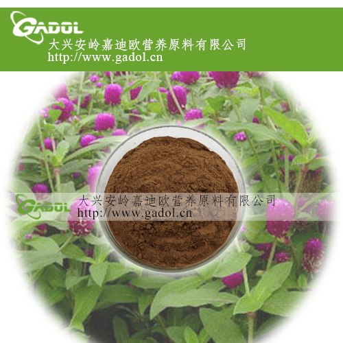 供应牛蒡提取物