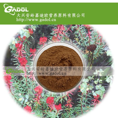 供应 红景天提取物