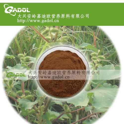 供应苍耳子提取物