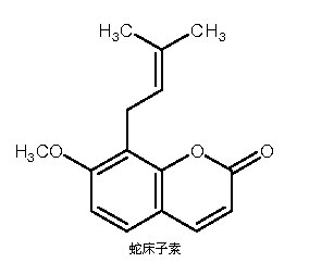 厂家供应蛇床子提取物osthole蛇床子素