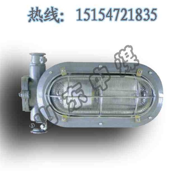 供应DGC35/127N隔爆型支架灯 支架灯 隔爆支架灯 矿用支架灯 