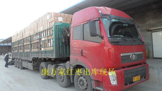 乐陵枣产地金丝小枣批发 