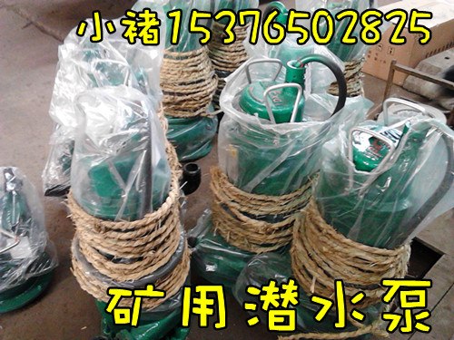 供应兰州BQS(W)排沙排污潜水泵,矿用隔爆排污泵