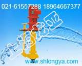 GBY50-25耐腐蚀液下泵厂