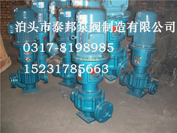 供应导热油循环油泵\导热油泵BRY100-65-315参数