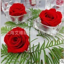 供应保鲜花技术永生花技术转让