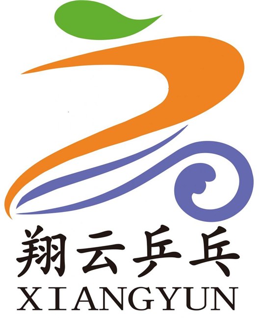 北京乒乓球培训，乒乓球训练，乒乓球教练首选翔云乒乓