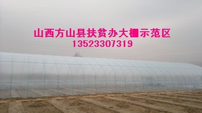 供应养殖大棚骨架生态农业养殖大棚建设钢架大棚骨架机