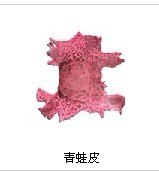 海口纺织青蛙皮原料 天利五折批发起售 量大价优