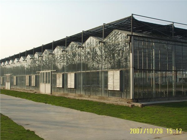 玻璃温室大棚厂家
