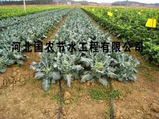 滴灌企业哪家好
