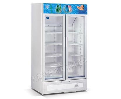 塑料模-供应海泉卧式双温冰柜模具