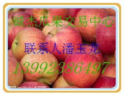 供应陕西红富士苹果批发‘洛川红富士苹果’陕西红富士基地