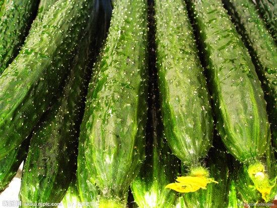 寿光绿隆代购蔬菜，欢迎咨询、参观。