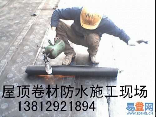 供应苏州金枫路房屋屋顶漏水维修·苏州房屋改造-瓦房漏水维修。？苏州卫生间装修