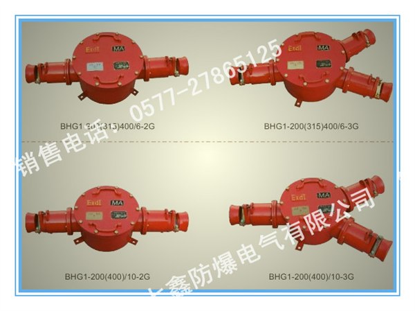 供应BHD2-400/1140-2T