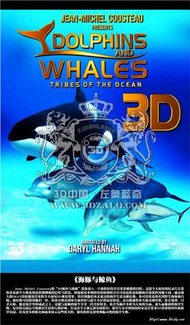 山西太原哪里卖3D立体影院设备？哪家的3D立体影视设备好？