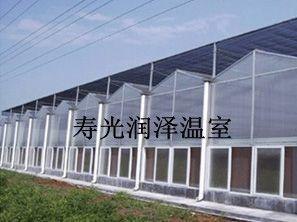 高技术承建新型连体大棚 简易拱棚温室工程造价 就到寿光润泽