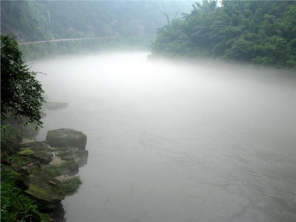 供应大型雨雾机
