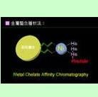 东营油田化学 生物酶石油增产产品供应 新型聚合物压裂液价格