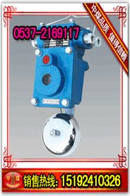 专业供应声光信号器