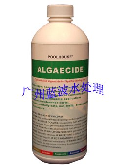 正品氯霸除藻剂批发价格,找广州蓝波水处理公司