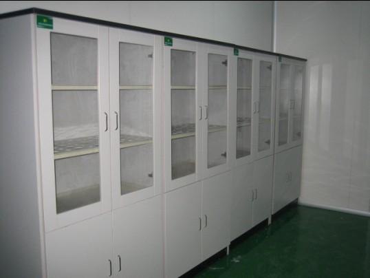 实验室器皿柜 杭州器皿柜 浙江器皿柜 试剂柜