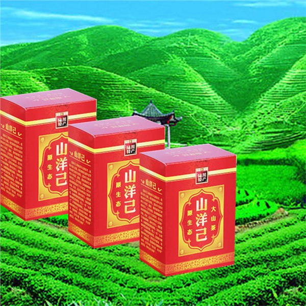 供应山洋己神仙保健茶