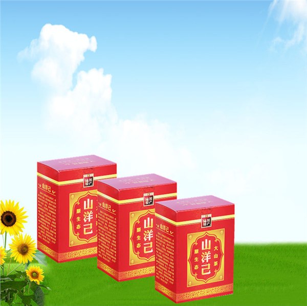 供应袋泡茶山洋己明目健脑保健茶批发