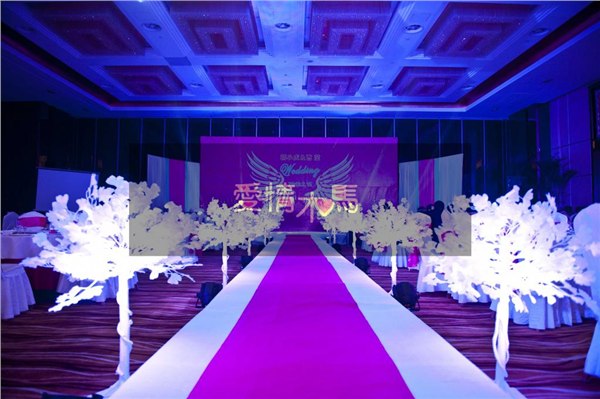 阜阳婚庆，阜阳婚庆公司排名，阜阳爱情木马婚庆策划公司