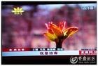 供应济宁电视台广告咨询电话
