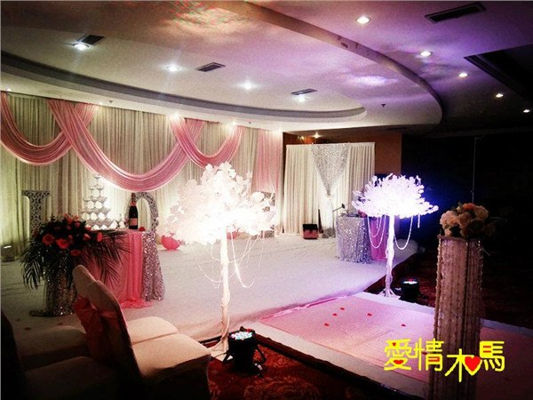阜阳婚庆公司、阜阳婚礼策划、阜阳爱情木马婚礼