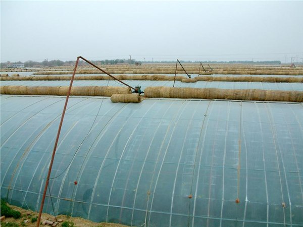 建造温室大棚找寿光市辰骏温室构建有限公司
