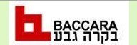 供应以色列BACCARA气动元件