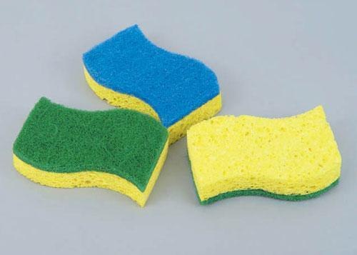 scouring sponge