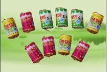 山东山楂食品厂家哪家最好？