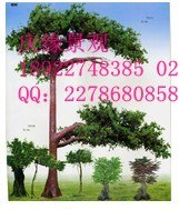 山东仿真椰子树 室内仿真菠萝蜜树 精品仿真山楂树