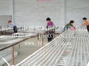 塑料假顶网 塑料护帮网 井下用支护网