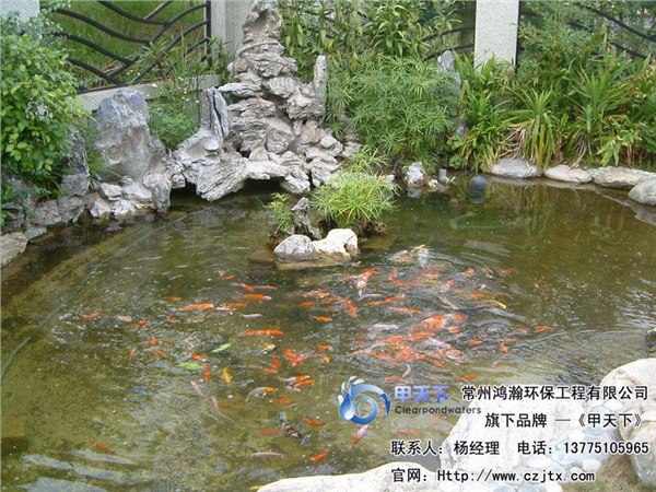 南通市景观鱼池水处理工程!
