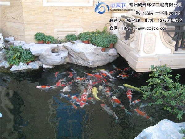 扬州市景观鱼池水处理工程！
