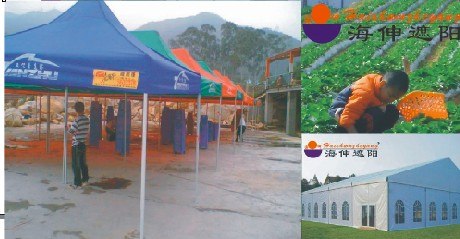 厦门海伸供应厦门帐篷 太阳伞批发 款式多样 价格实惠
