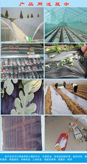 厂家供应塑料工程膜 工程防渗膜 塑料防渗膜工程膜厂家