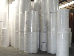 淋膜纸质量好价格优，青州新洋纸业产品热销