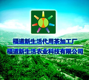 观辣树|福道新生活代用茶加工厂为东莞五星级酒店打造酒店代用茶