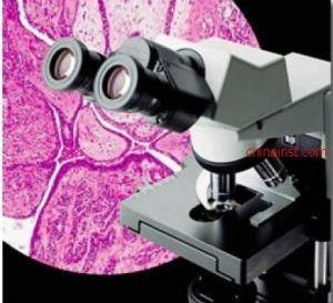 供应奥林巴斯CX31生物显微镜